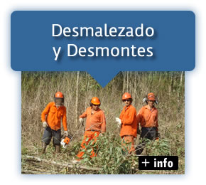 Desmalezado y Desmontes