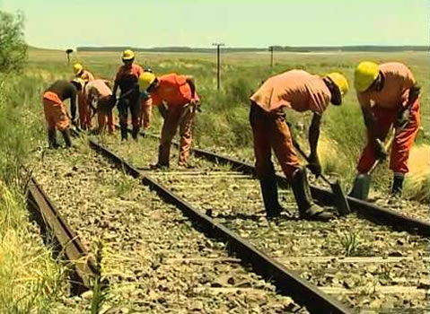 Mantenimiento Liviano de Vías y Pasos a Nivel