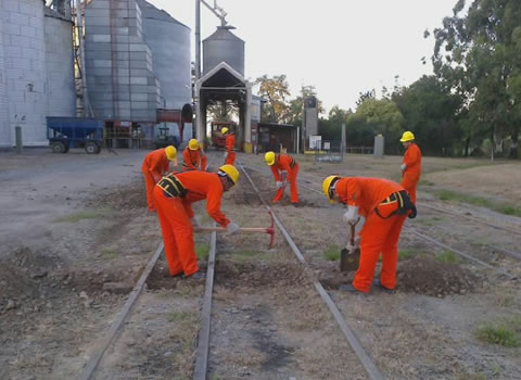 Mantenimiento liviano de vas. Obra Delfn Gallo, Bunge, Tucumn